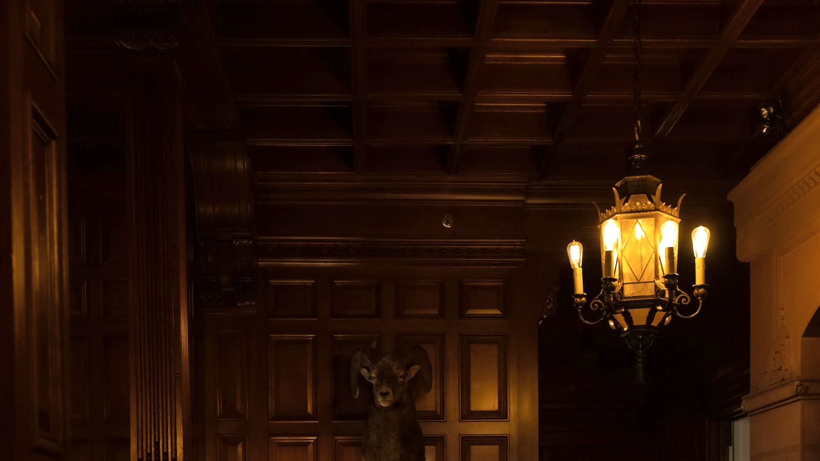A dimly lit panelled room with a chandelier glowing above dark timber walls.